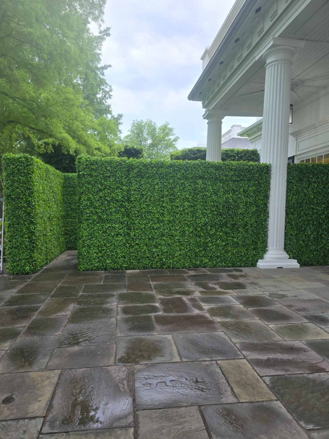 Faux Jasmine hedge wall corner detail