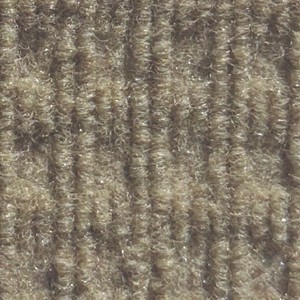 Camel swatch