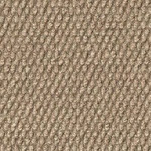 Camel swatch
