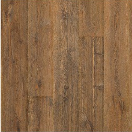 Nature Walk Oak 258 swatch