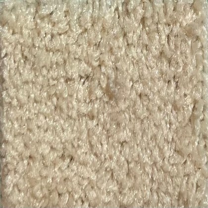 Sandstone FL-01 exposition carpet swatch