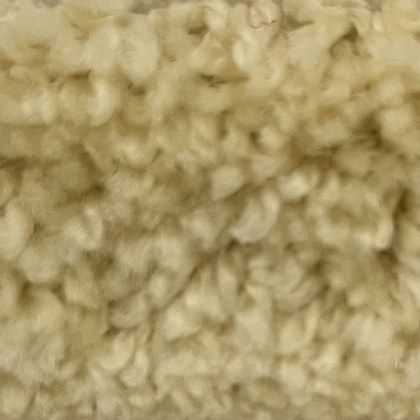 Antique Lace GF-40 exposition carpet swatch