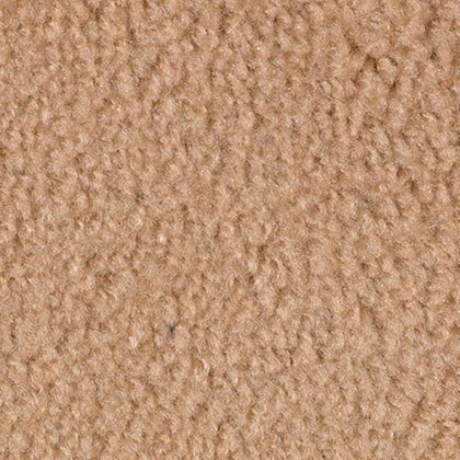 Biscuit PR-07 exposition carpet swatch