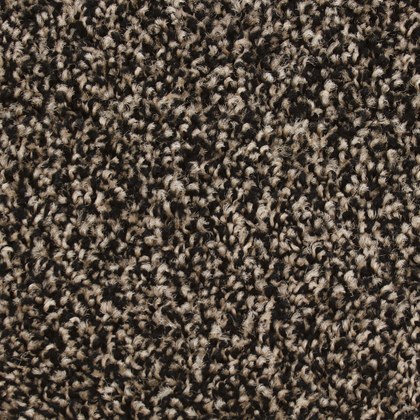 Trail Mix SF-05 exposition carpet swatch
