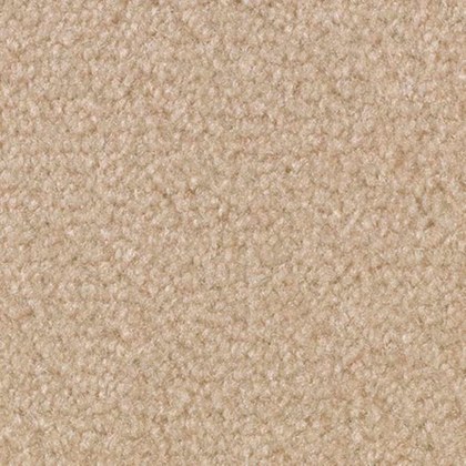 Eggshell VIP-12 exposition carpet swatch