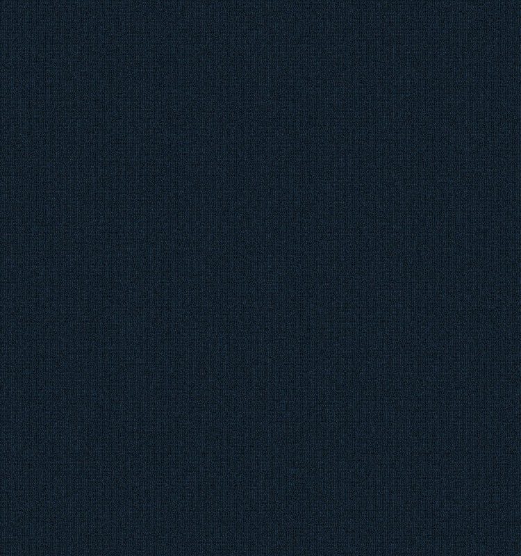 Navy swatch