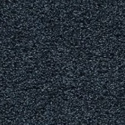 Midnight Matinee 559 swatch