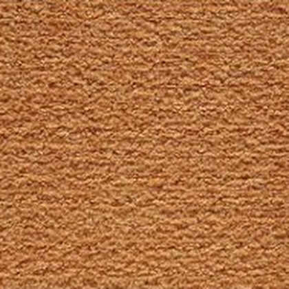 Orange You Famous 252 swatch