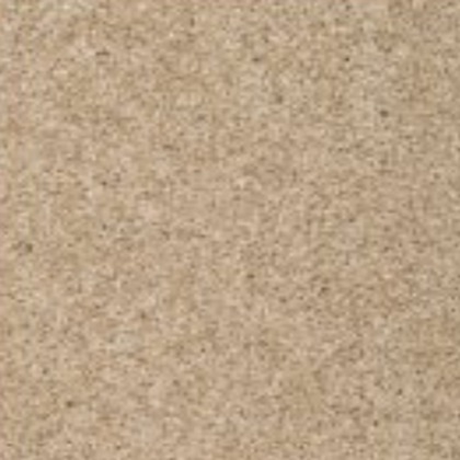 Elk Beige 13 swatch