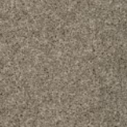 Shimmer Ash 19 swatch