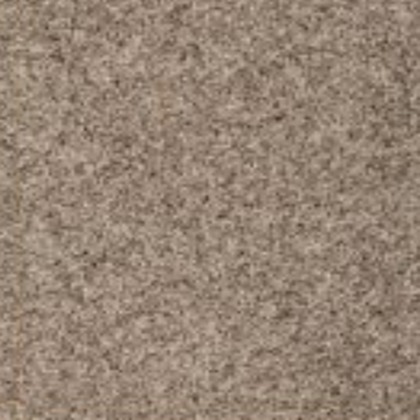 Silver Dollar 02 swatch