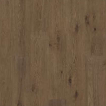 Aged Stone Oak 869 swatch