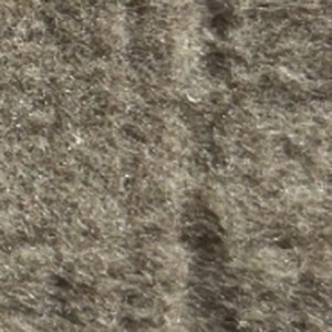 Camel swatch