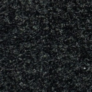 Night Shade swatch