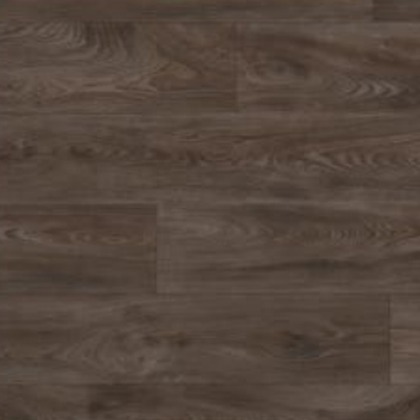 Roasted Mocha EP002-858 swatch