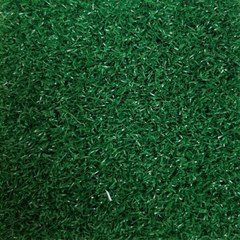 Field Day artificial turf grass in Kickoff Green