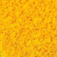 SBMULTI artificial turf grass in Yellow